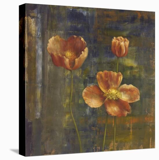 Iceland Poppies II-Carol Black-Stretched Canvas