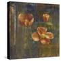 Iceland Poppies II-Carol Black-Stretched Canvas