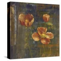 Iceland Poppies II-Carol Black-Stretched Canvas