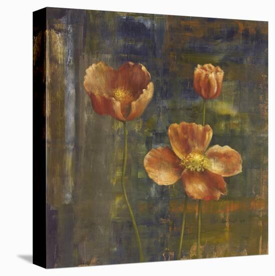 Iceland Poppies II-Carol Black-Stretched Canvas