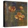 Iceland Poppies II-Carol Black-Stretched Canvas