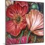 Iceland Poppies-Cherie Roe Dirksen-Mounted Giclee Print