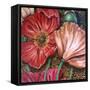 Iceland Poppies-Cherie Roe Dirksen-Framed Stretched Canvas