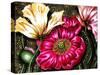 Iceland Poppies-Cherie Roe Dirksen-Stretched Canvas