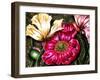 Iceland Poppies-Cherie Roe Dirksen-Framed Giclee Print