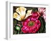 Iceland Poppies-Cherie Roe Dirksen-Framed Giclee Print