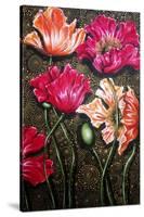 Iceland Poppies-Cherie Roe Dirksen-Stretched Canvas