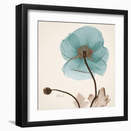 Iceland Poppy Believe-Albert Koetsier-Framed Art Print