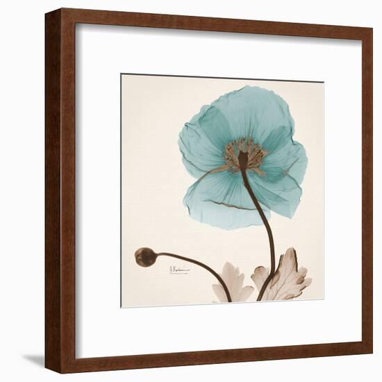 Iceland Poppy Believe-Albert Koetsier-Framed Art Print