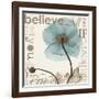 Iceland Poppy Believe-Albert Koetsier-Framed Art Print