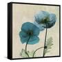 Iceland Poppy Duo 2-Albert Koetsier-Framed Stretched Canvas