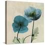 Iceland Poppy Duo 2-Albert Koetsier-Stretched Canvas