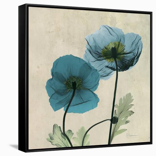 Iceland Poppy Duo 2-Albert Koetsier-Framed Stretched Canvas