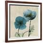 Iceland Poppy Duo 2-Albert Koetsier-Framed Art Print