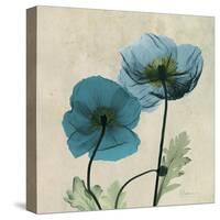 Iceland Poppy Duo 2-Albert Koetsier-Stretched Canvas