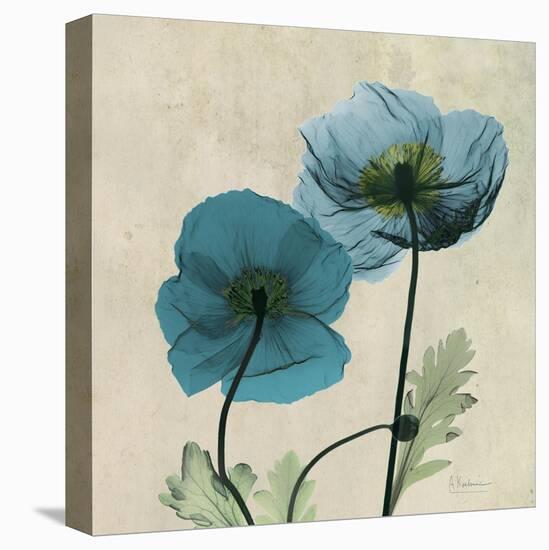 Iceland Poppy Duo 2-Albert Koetsier-Stretched Canvas