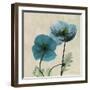 Iceland Poppy Duo 2-Albert Koetsier-Framed Art Print