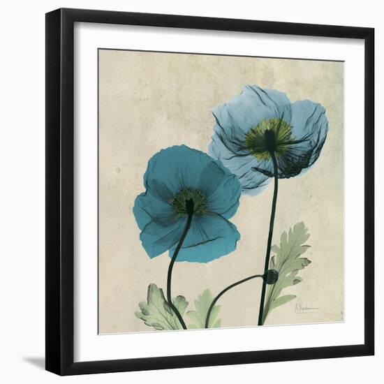 Iceland Poppy Duo 2-Albert Koetsier-Framed Art Print