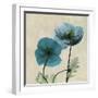 Iceland Poppy Duo 2-Albert Koetsier-Framed Art Print