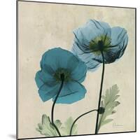 Iceland Poppy Duo 2-Albert Koetsier-Mounted Art Print