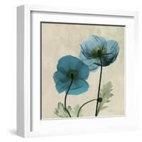 Iceland Poppy Duo 2-Albert Koetsier-Framed Art Print