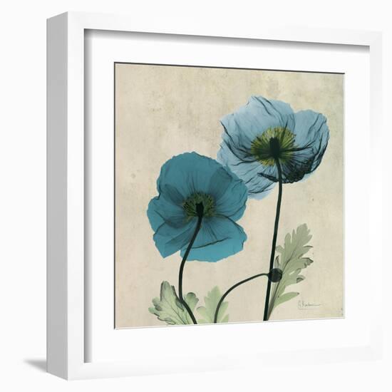 Iceland Poppy Duo 2-Albert Koetsier-Framed Art Print