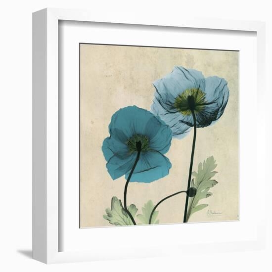 Iceland Poppy Duo-Albert Koetsier-Framed Art Print