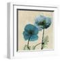 Iceland Poppy Duo-Albert Koetsier-Framed Art Print