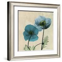 Iceland Poppy Duo-Albert Koetsier-Framed Art Print