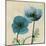 Iceland Poppy Duo-Albert Koetsier-Mounted Art Print