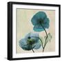 Iceland Poppy Duo-Albert Koetsier-Framed Premium Giclee Print