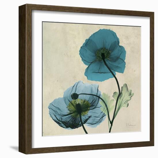 Iceland Poppy Duo-Albert Koetsier-Framed Premium Giclee Print