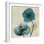 Iceland Poppy Duo-Albert Koetsier-Framed Premium Giclee Print