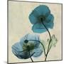 Iceland Poppy Duo-Albert Koetsier-Mounted Premium Giclee Print