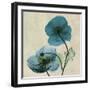 Iceland Poppy Duo-Albert Koetsier-Framed Art Print