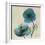 Iceland Poppy Duo-Albert Koetsier-Framed Art Print