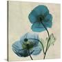 Iceland Poppy Duo-Albert Koetsier-Stretched Canvas