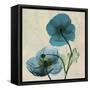 Iceland Poppy Duo-Albert Koetsier-Framed Stretched Canvas