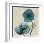 Iceland Poppy Duo-Albert Koetsier-Framed Art Print