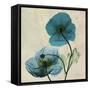 Iceland Poppy Duo-Albert Koetsier-Framed Stretched Canvas