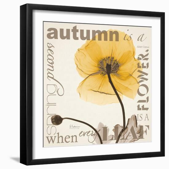 Iceland Poppy Harvest-Albert Koetsier-Framed Photographic Print