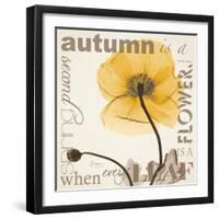 Iceland Poppy Harvest-Albert Koetsier-Framed Photographic Print