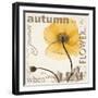 Iceland Poppy Harvest-Albert Koetsier-Framed Photographic Print