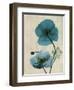 Iceland Poppy Moments-Albert Koetsier-Framed Art Print