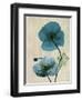 Iceland Poppy Moments-Albert Koetsier-Framed Art Print