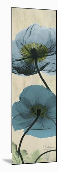 Iceland Poppy Moments-Albert Koetsier-Mounted Premium Giclee Print