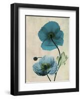 Iceland Poppy Moments-Albert Koetsier-Framed Art Print