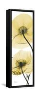 Iceland Poppy Yellow-Albert Koetsier-Framed Stretched Canvas