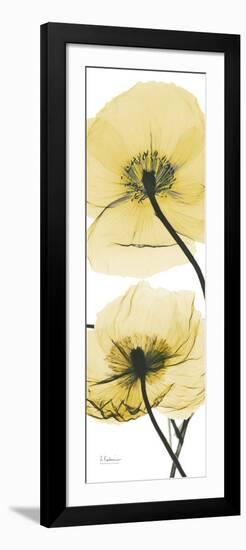 Iceland Poppy Yellow-Albert Koetsier-Framed Premium Giclee Print