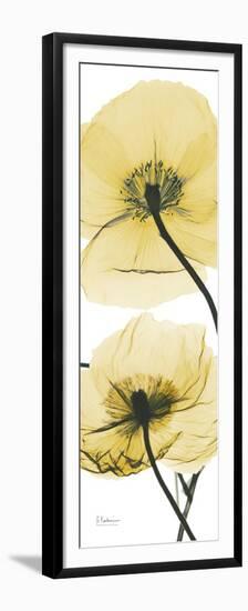 Iceland Poppy Yellow-Albert Koetsier-Framed Premium Giclee Print